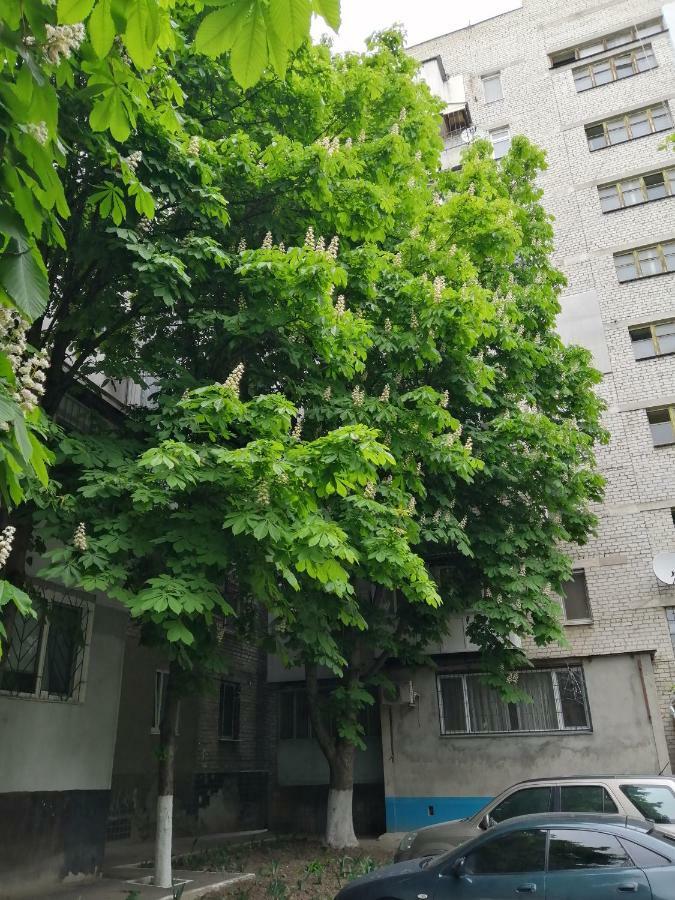 Apartments near the sea Odessa Esterno foto